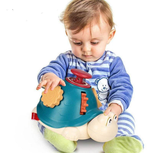 Turtle Finger Exploration Toy - The Gadgez