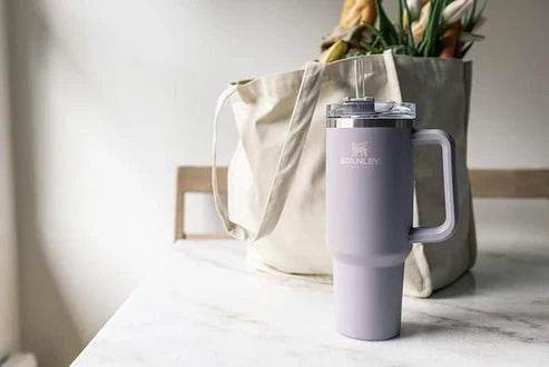 Stainless Steel Tumbler - The Gadgez