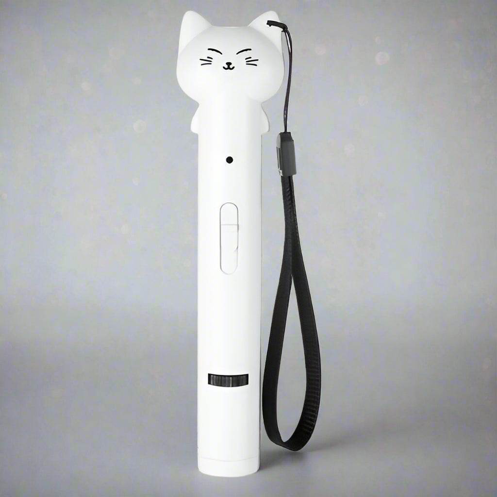 USB Charging Infrared Cat Pen Laser Lamp - The Gadgez