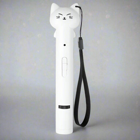 USB Charging Infrared Cat Pen Laser Lamp - The Gadgez